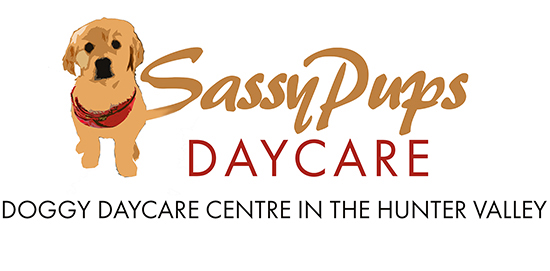 SassyPups Daycare